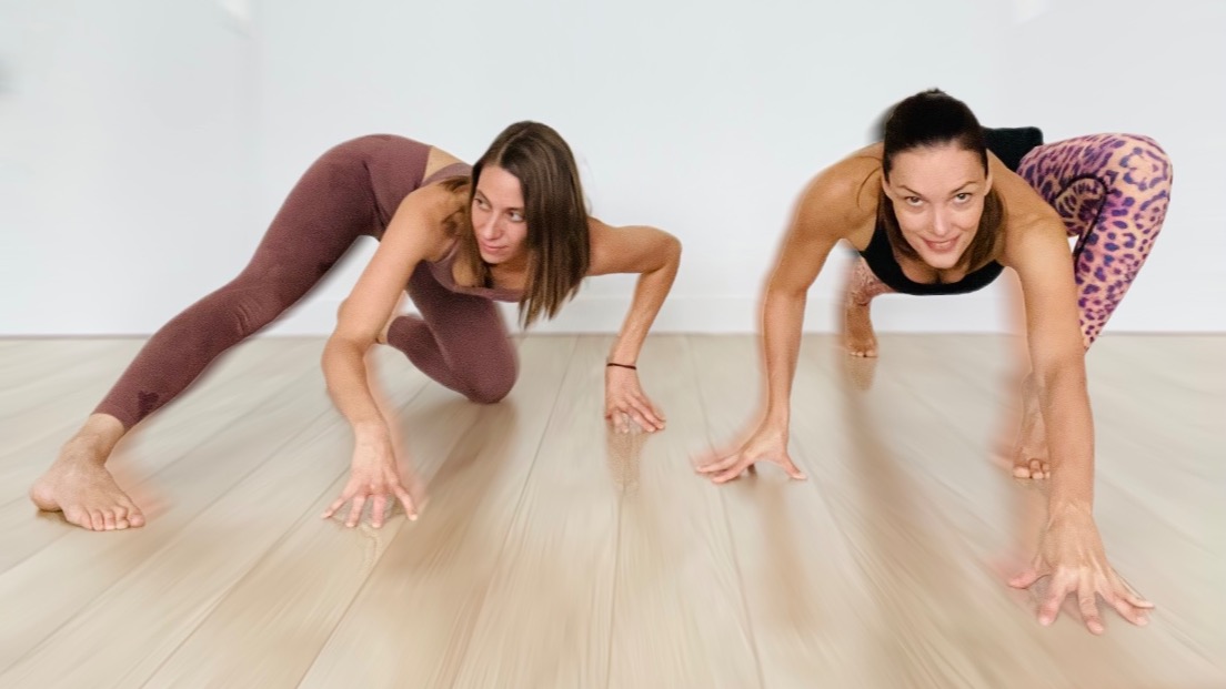 Atelier Yoga Vinyasa - Move like an animal !